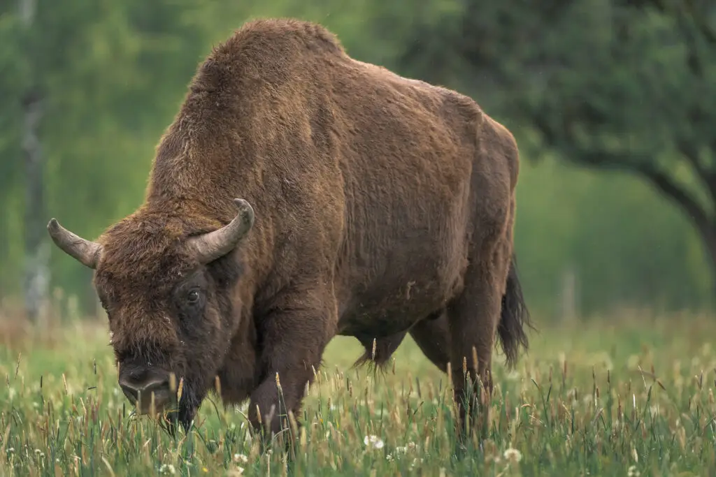 20250523-A7_00555 - 2400